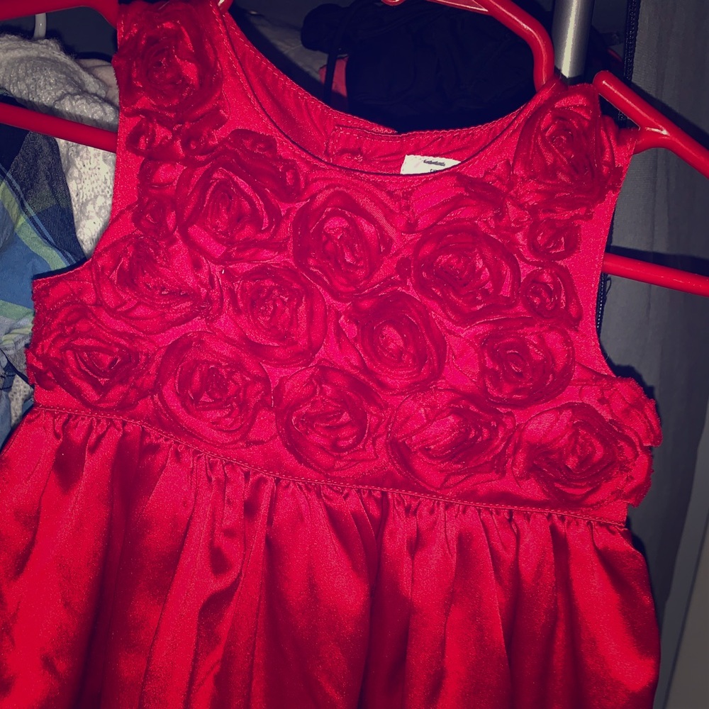 Girls 9 mos carter rose dress